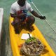 Tropical adventure