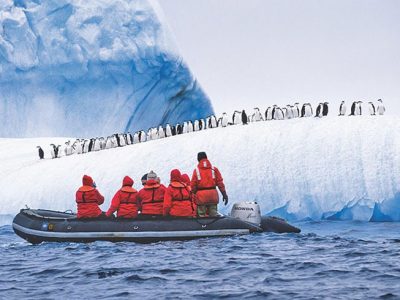 Penguins in Antarctica