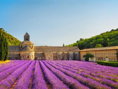 European garden