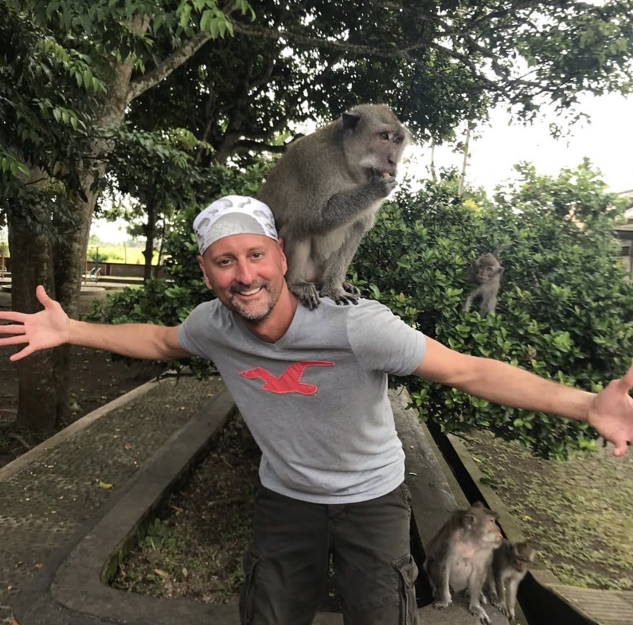 tropical adventure